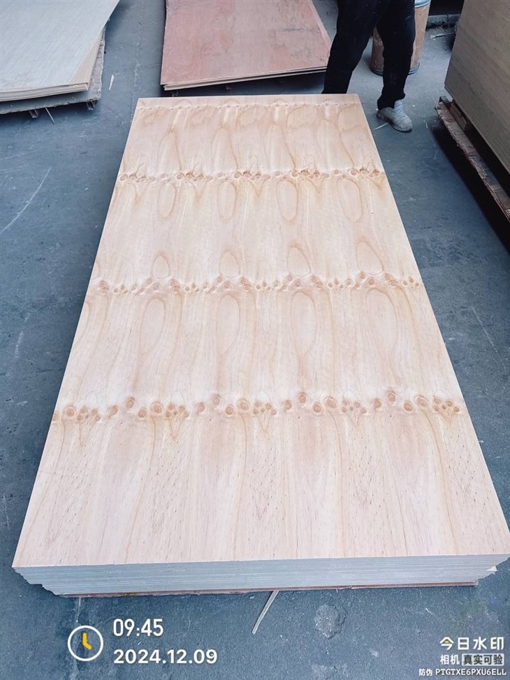 CDX Pine Plywood 4x8 For Construction/Furniture