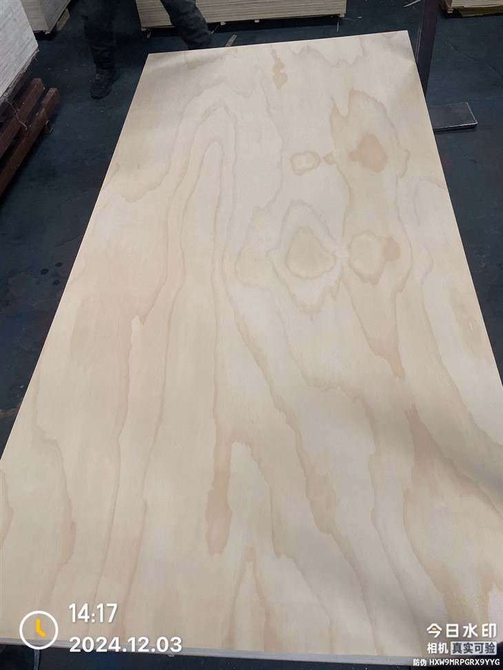 CDX Pine Plywood 4x8 ar gyfer adeiladu/dodrefn