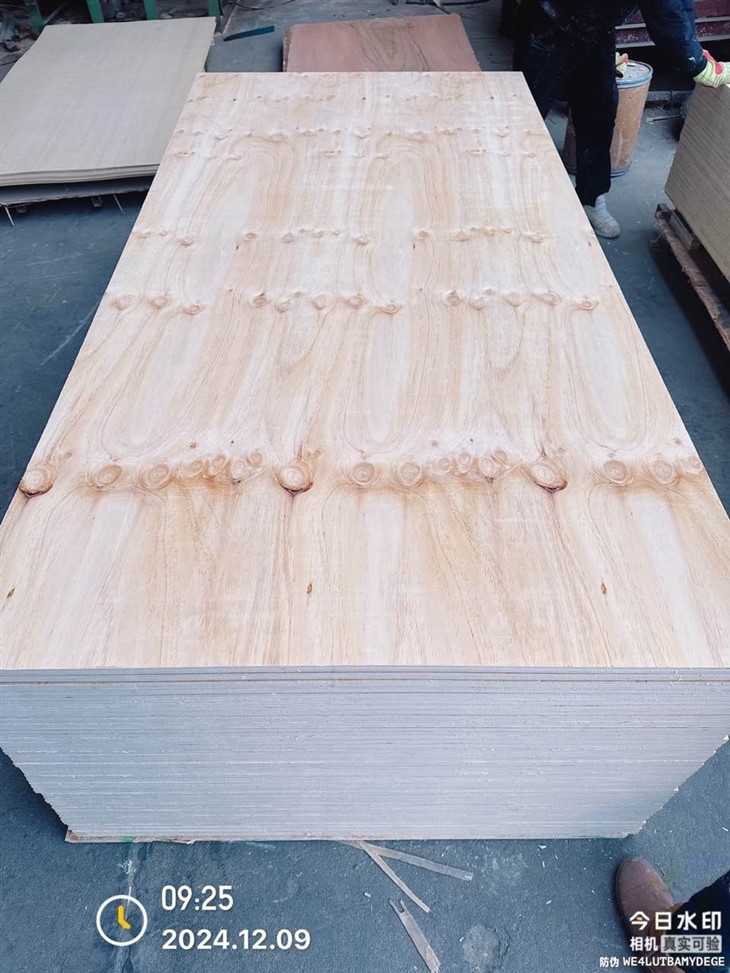 CDX Pine Plywood 4x8 For Construction/Furniture