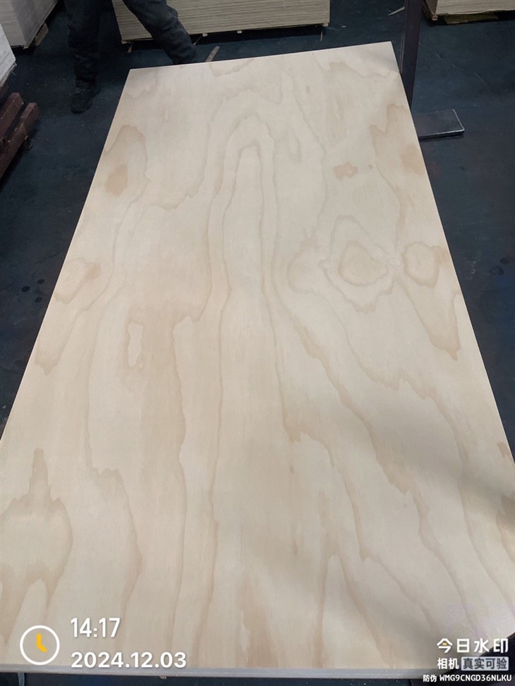 CDX Pine Plywood 4x8 For Construction/Furniture