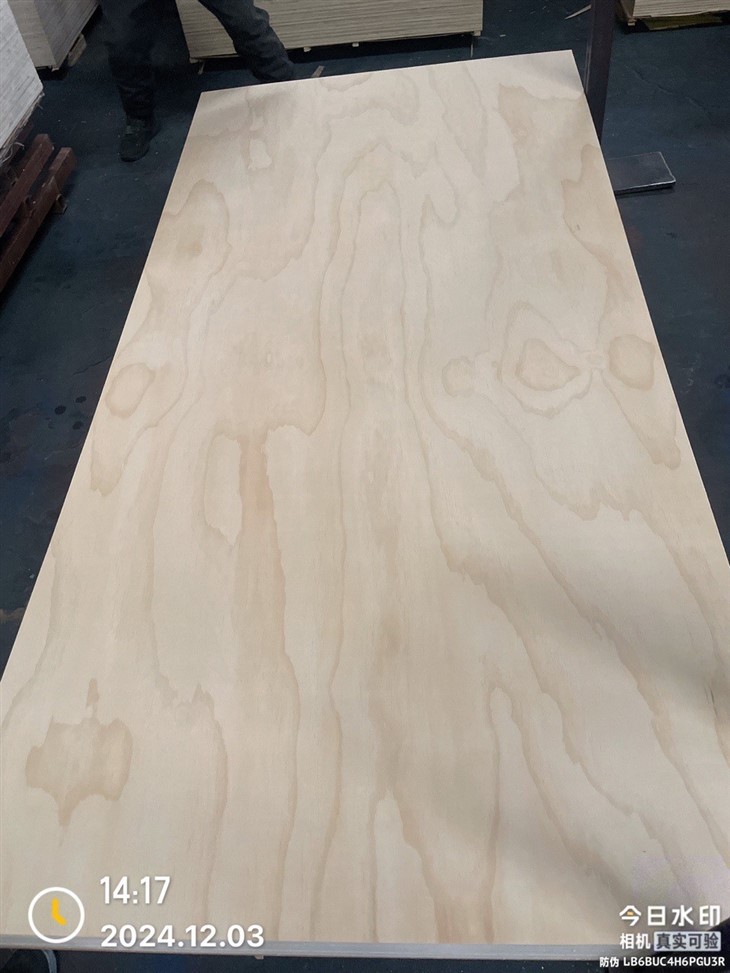 CDX Pine Plywood 4x8 For Construction/Furniture